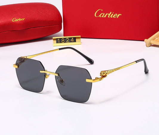 Black C Sunglasses 0434 preorder