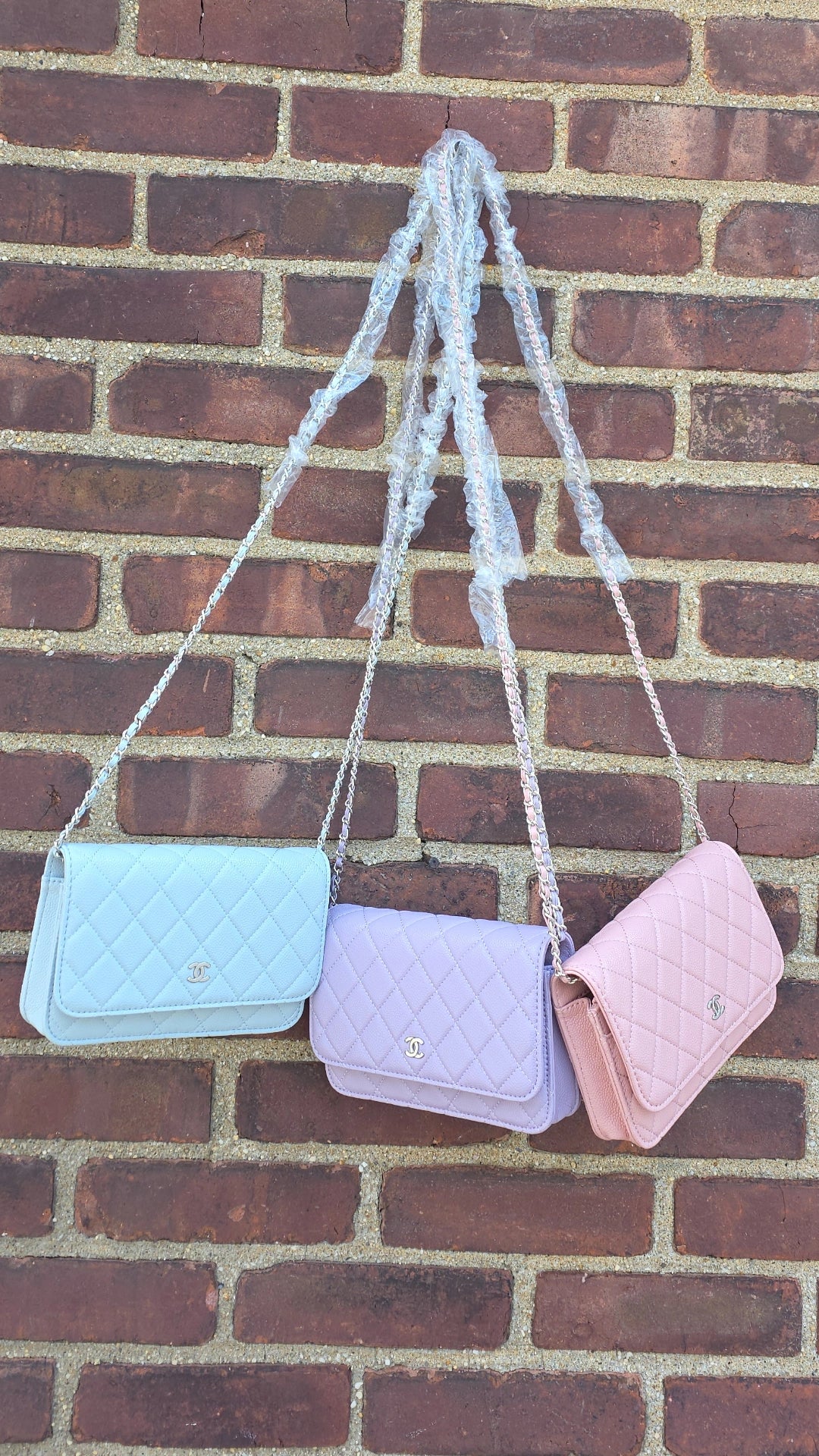 C wallet on chain crossbody bag 3 colors